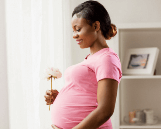 birth Parent Services birth Parent Services